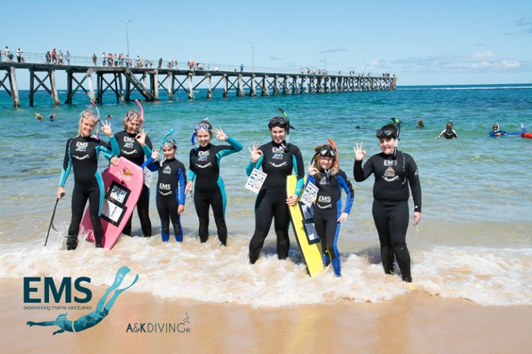 Guided Snorkelling Tours in South Australia